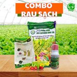  Combo phân hữu cơ khoáng cho Rau sạch trồng chậu 