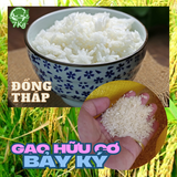  GẠO HỮU CƠ BẢY KÝ - SỰ LỰA CHỌN CHO BỮA CƠM AN LÀNH 