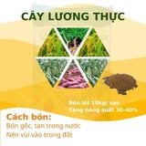  Phân bón khoáng Silic Đông Sơn - tăng cường khả năng chịu đựng khô hạn 