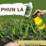  Phân hữu cơ khoáng Cacbon Úc dạng lỏng 