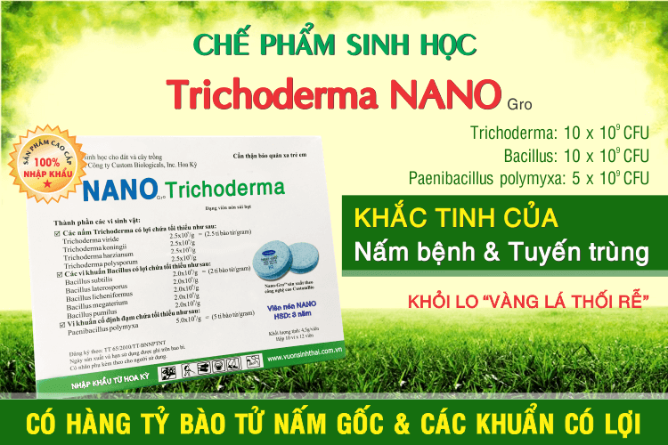  Chế phẩm sinh học trichoderma NANO 