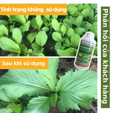  SiliCacbon 1700: Oxy cho đất - Sức sống cho cây! 