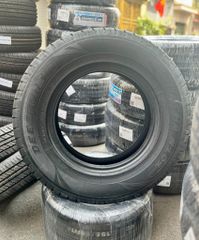 Lốp xe Deestone 205R16C R101  8PR (Thái Lan)