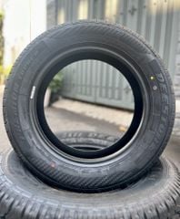 Lốp xe Deestone 205/60R16 RA01 (Thái Lan)
