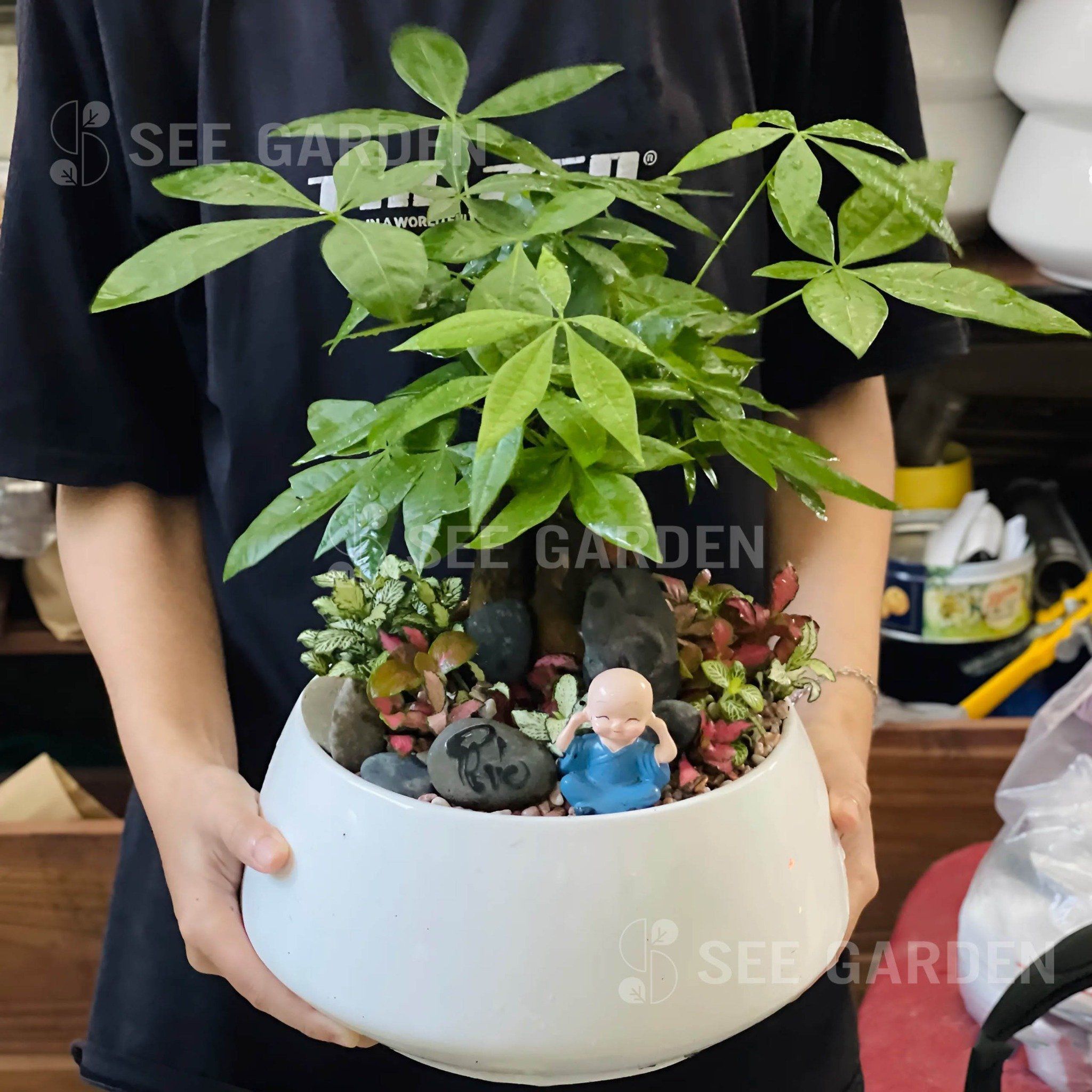  Kim Ngân 3 Củ Mix May Mắn B24 