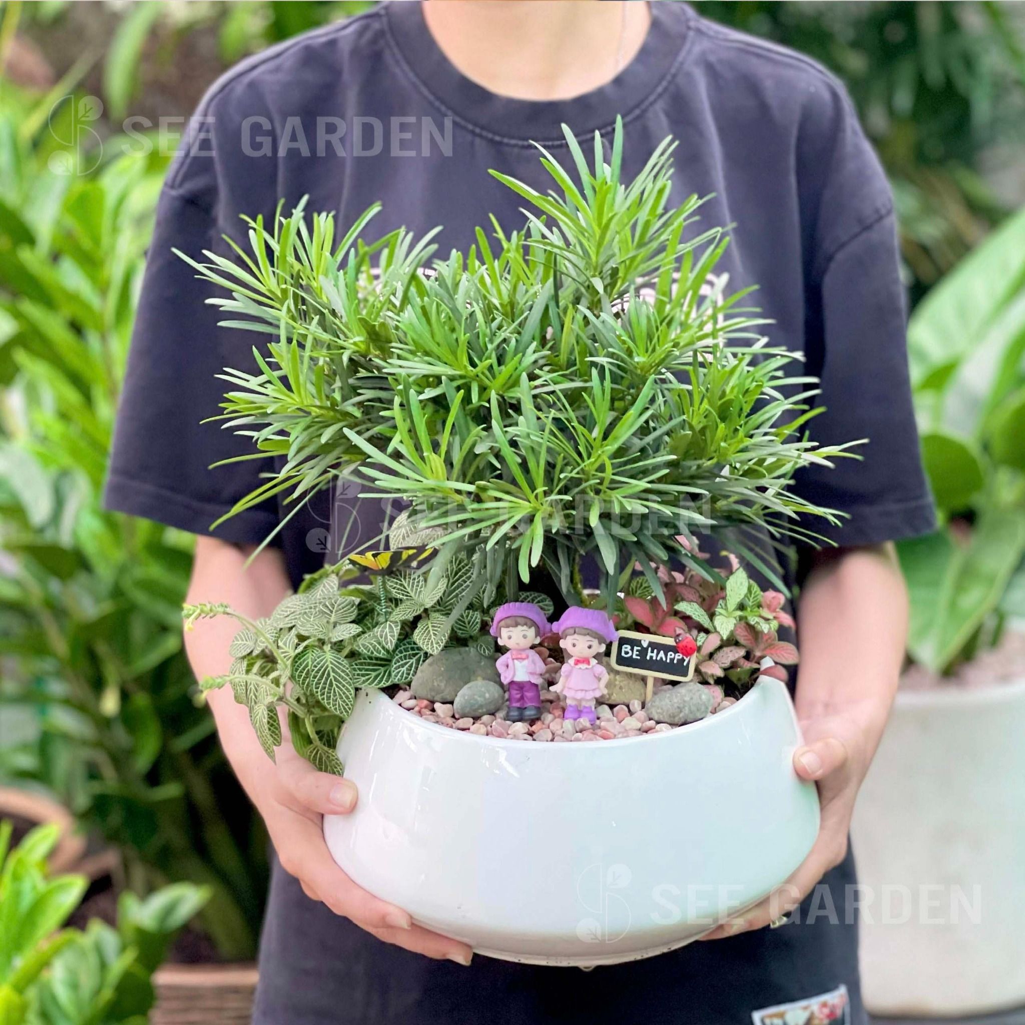  Tùng Vạn Niên Bonsai Mix May Mắn Cặp Đôi 