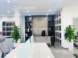  Trầu Bà Leo Cột LT2 [Pothos] 