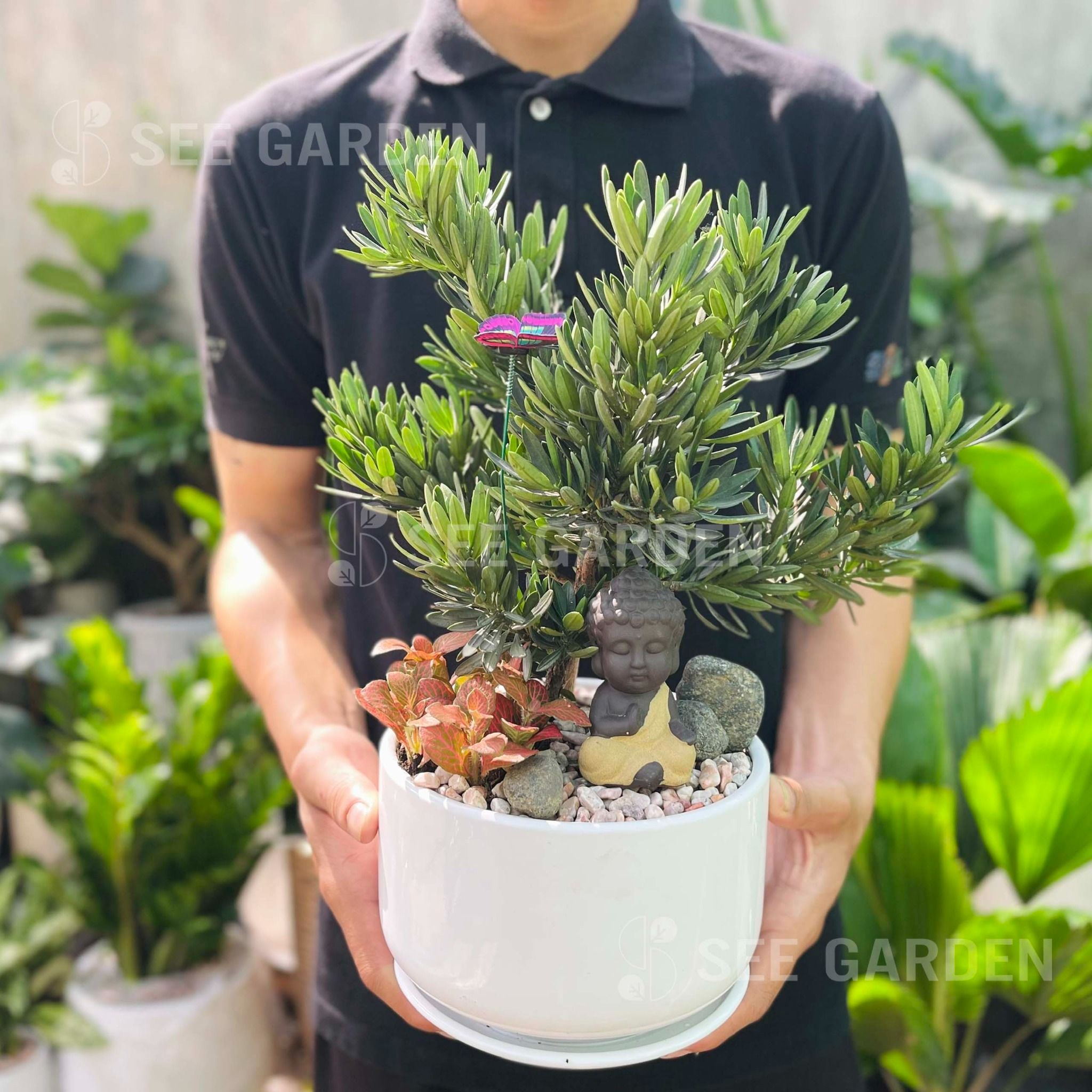  Tùng Kim Cương Mix May Mắn Tượng Phật Gốm 