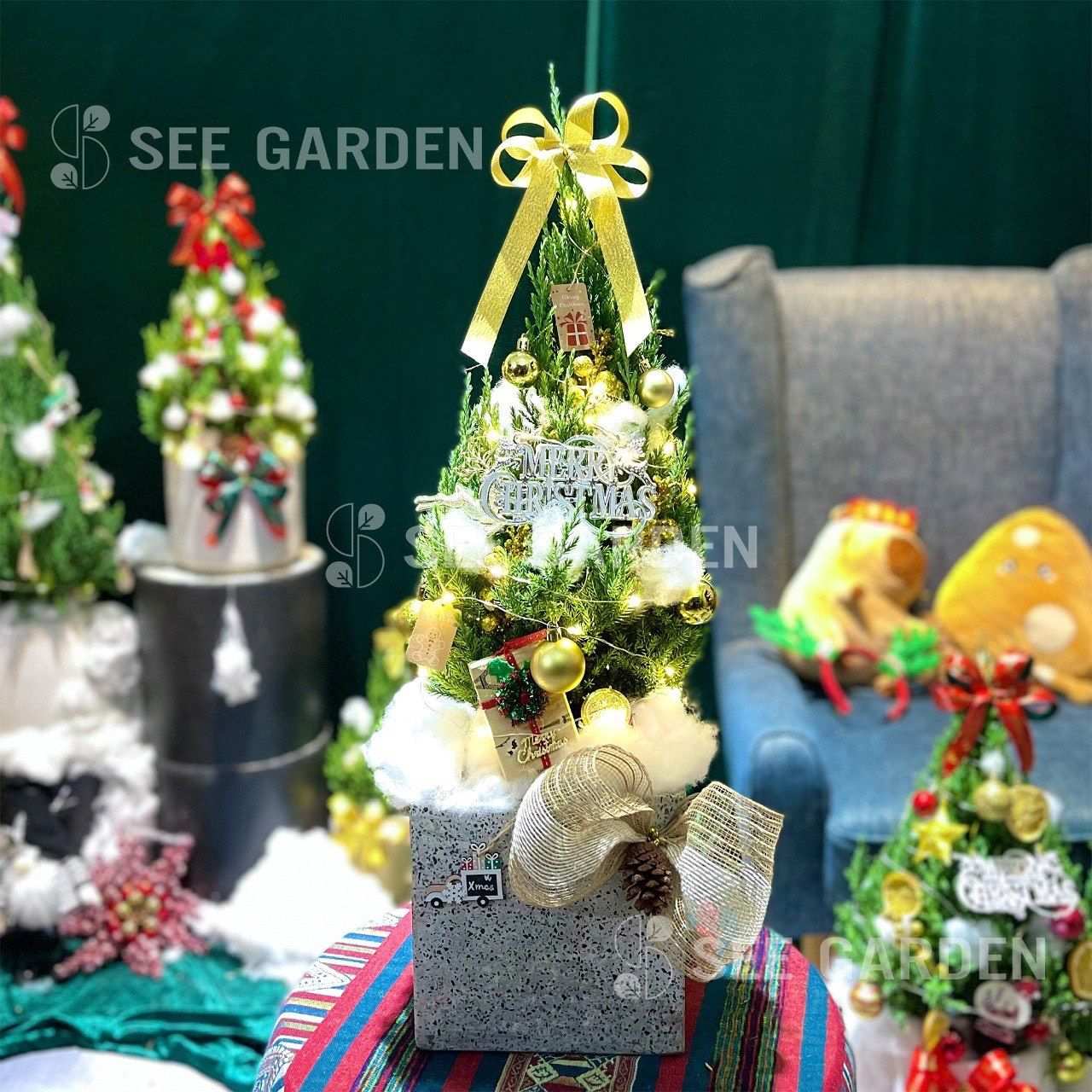  Set tùng chậu xm vuông 