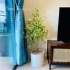  Đa Tam Phúc Chậu Men Trụ T32 