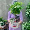 Hạnh Phúc Mix May Mắn Yêu Nhau Đến Già T15 