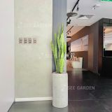  Lưỡi Hổ Xanh Chậu XM Trụ 30x60 
