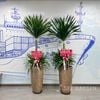  Cặp Phát Tài Núi Tặng Khai Trương, Tân Gia 