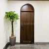  Kim Ngân Bính Chậu Vân Vàng 