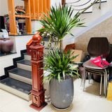  Phát Tài Núi Chậu Kẻ Dọc 