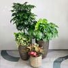  [Balcony] Set Hạnh Phúc Mix 