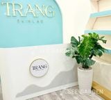  Trầu Bà Monstera Chậu Ly Vân LV2 