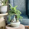 Tùng Bồng Lai bonsai chậu xanh gốm