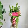  Chậu Kim Tiền Mix Chậu Vân Vàng 55cm 