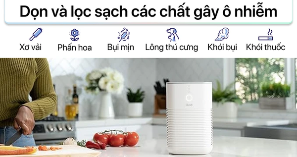 MÁY LỌC KHÔNG KHÍ LEVOIT LV-H128 - BẢN QUỐC TẾ