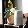 MÁY LỌC KHÔNG KHÍ LEVOIT CORE MINI – BẢN QUỐC TẾ