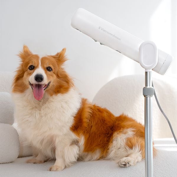 MÁY SẤY TÓC ĐỨNG VIETNAMROBOVAC A0D - Chăm Sóc Tóc Mềm Mại Bằng ion Âm - Điều Chỉnh Góc 180 Độ