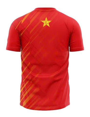 Áo Thể Thao Chạy Bộ Nam Motive Men T-shirt Việt Nam