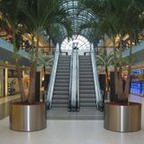  TC01 - Thang cuốn Pacific – Tecno 