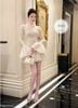 Đầm ren 2 lớp tay dài xòe ren sang chảnh - Z341