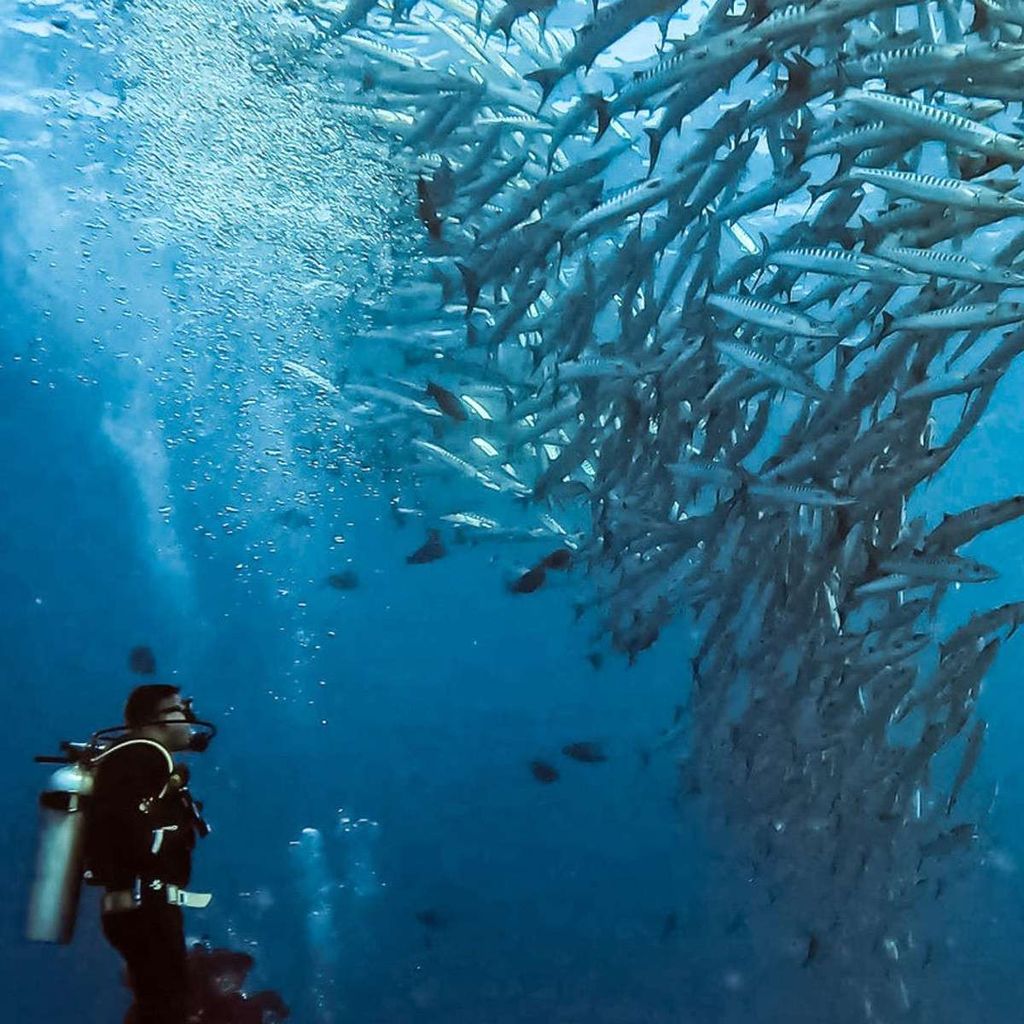 Ngàm bảo vệ GoPro Protective Housing