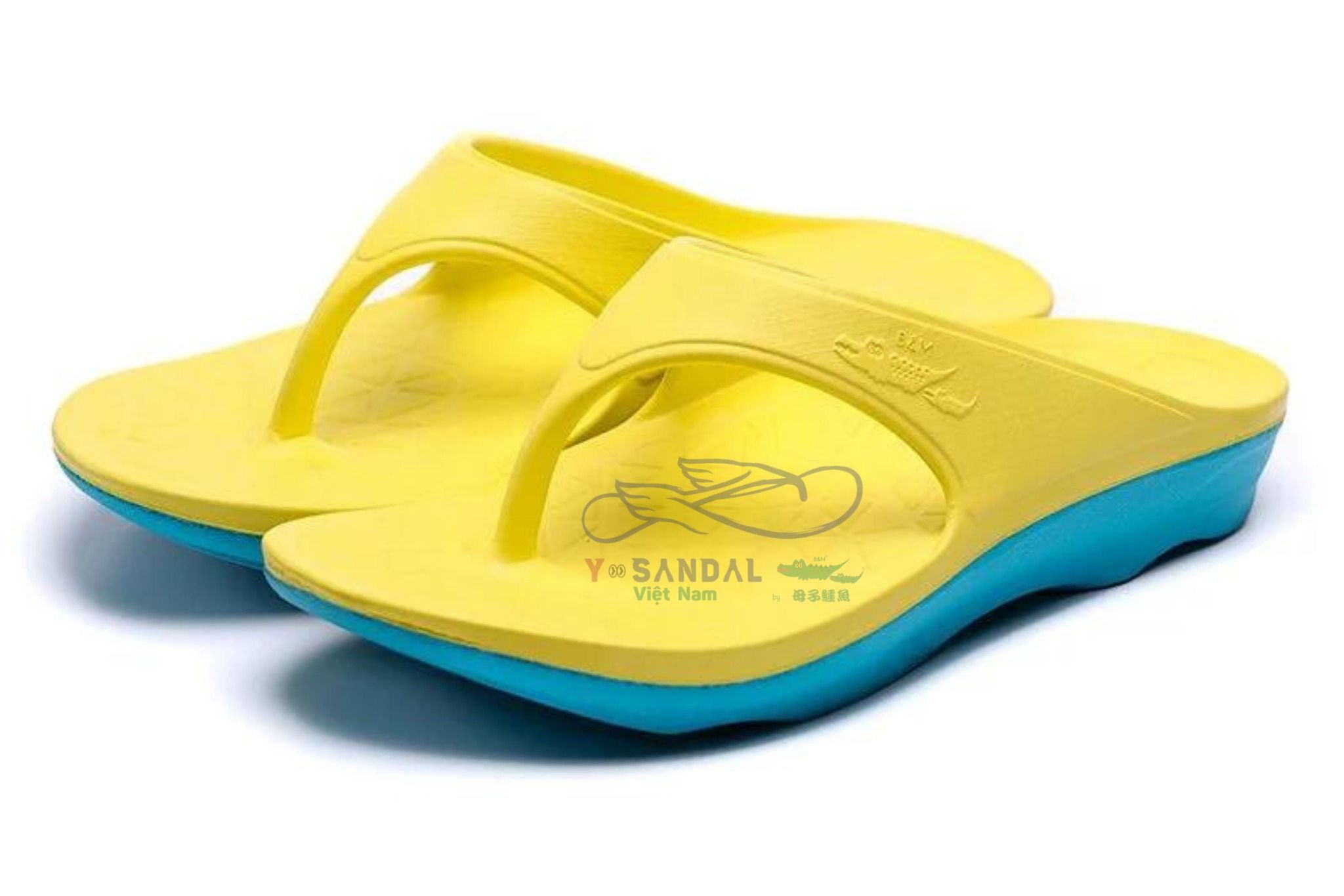  YSANDAL RECOVERY QQ YELLOW 