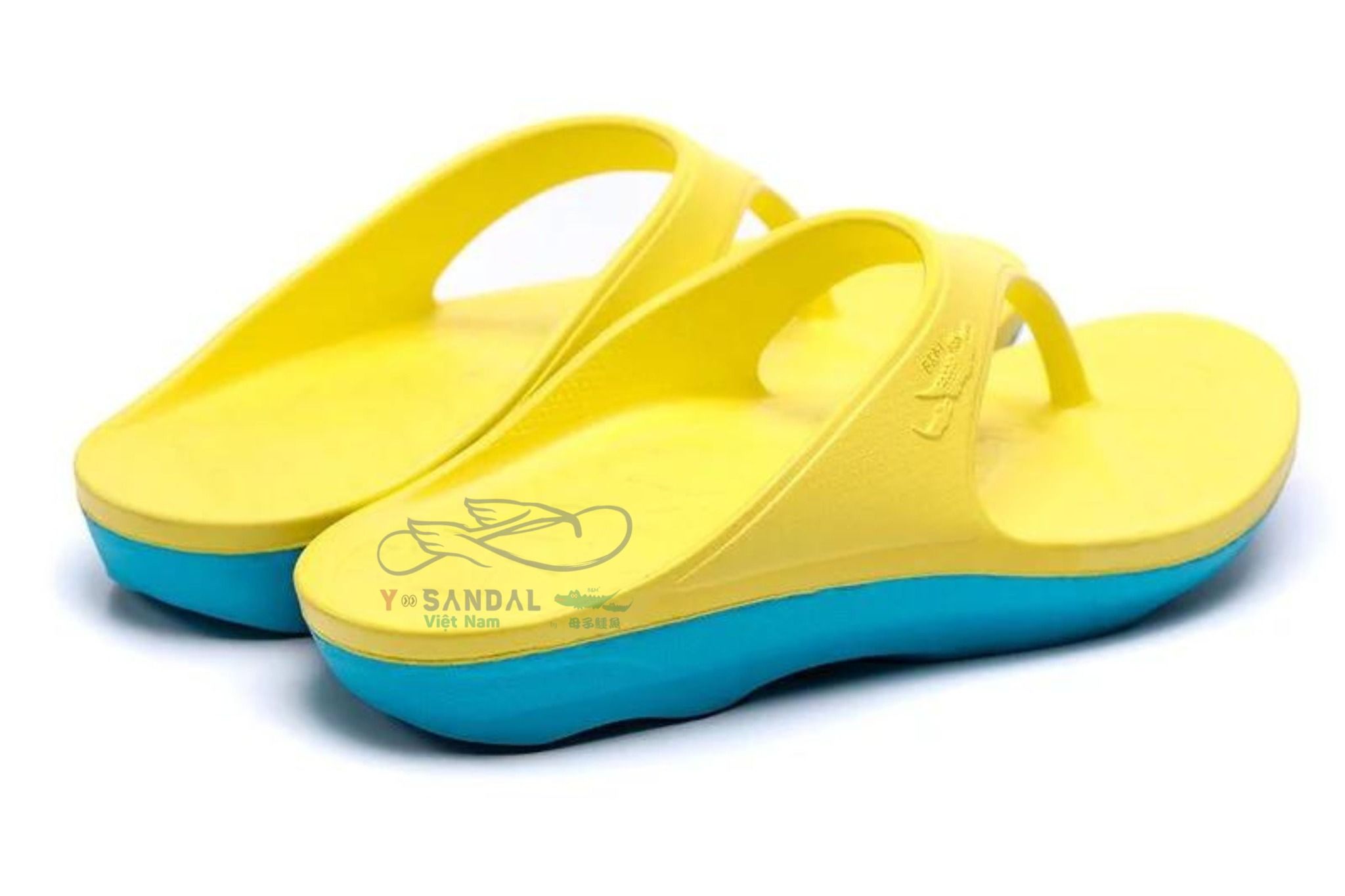  YSANDAL RECOVERY QQ YELLOW 