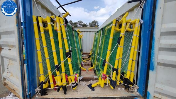  DT00005 Providing safety net frame manufacturing services for the HST HSD gantry 