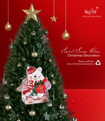 Quà Giáng Sinh Xanh SWEET SNOW BEAR