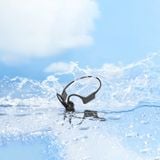  SHOKZ OpenSwim S700 