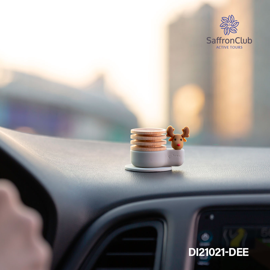  Car Diffuser 