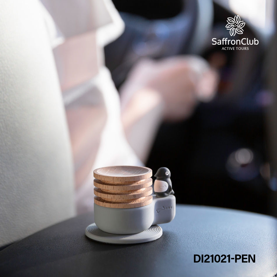 Car Diffuser 