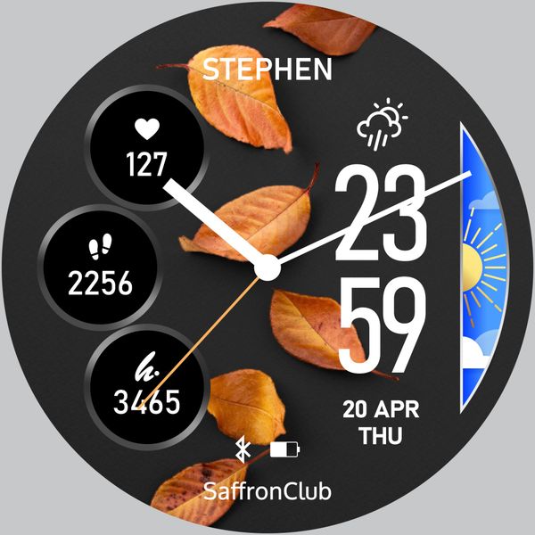  Lá mùa thu (động) 