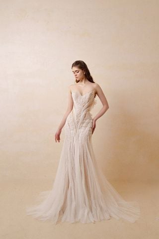 HC2536