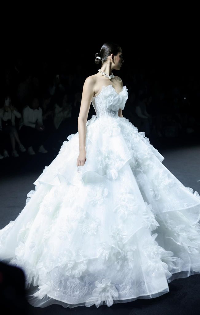 HC GOLD PREMIUM FWD01