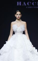 HC GOLD PREMIUM FWD01