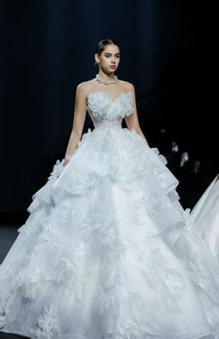 HC GOLD PREMIUM FWD01