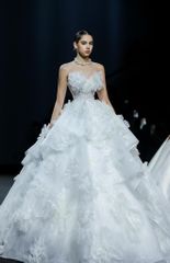 HC GOLD PREMIUM FWD01