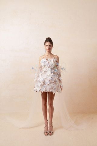 HC2539