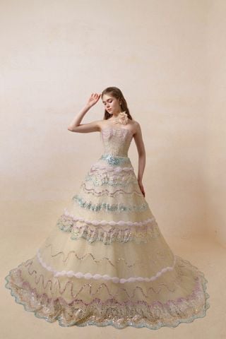 HC2538