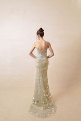 HC2538