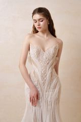 HC2537