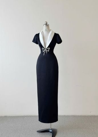HBSS19