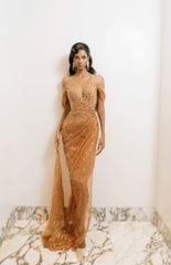 HBSS14