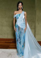 HBSS15